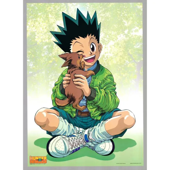 Original Hunter x Hunter Poster, Gon Freecss