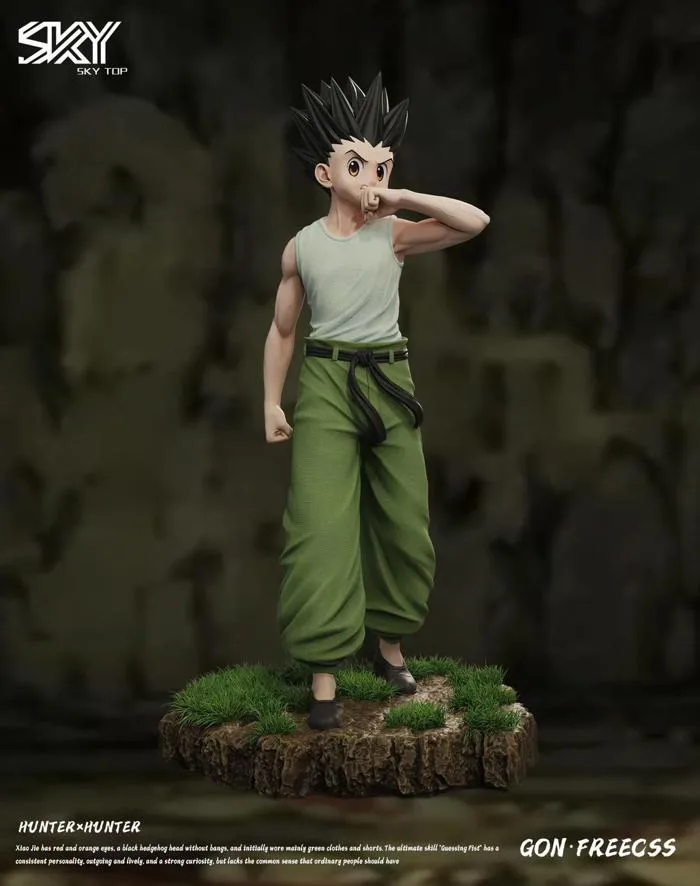 Sky Top Studio - Killua Zoldyck & Gon Freecss - Hunter x Hunter – Flash  Resin Shop