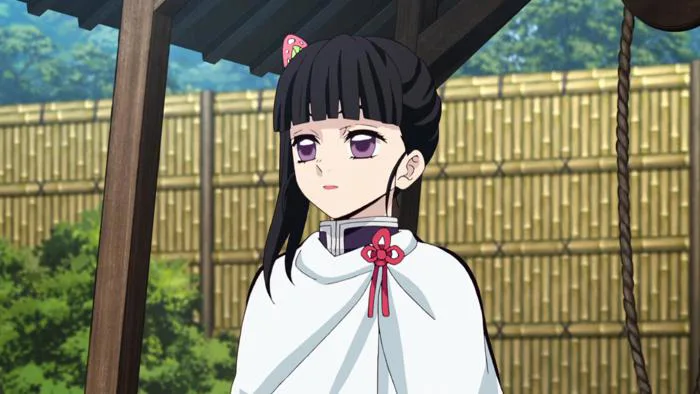 Demon Slayer: Kimetsu no Yaiba Demon Slayer: Kimetsu no Yaiba