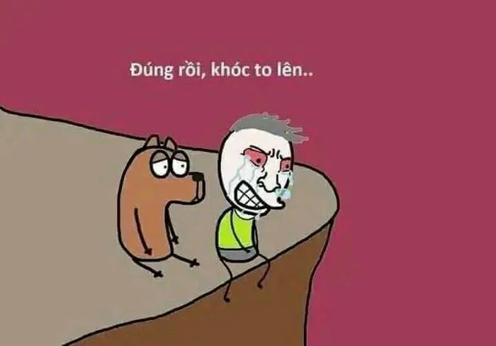 Chó thản nhiên an ủi sen 