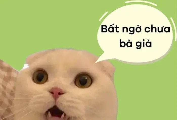Meme bất ngờ là gì? Tổng hợp meme bất ngờ hài hước, ấn tượng và thú vị