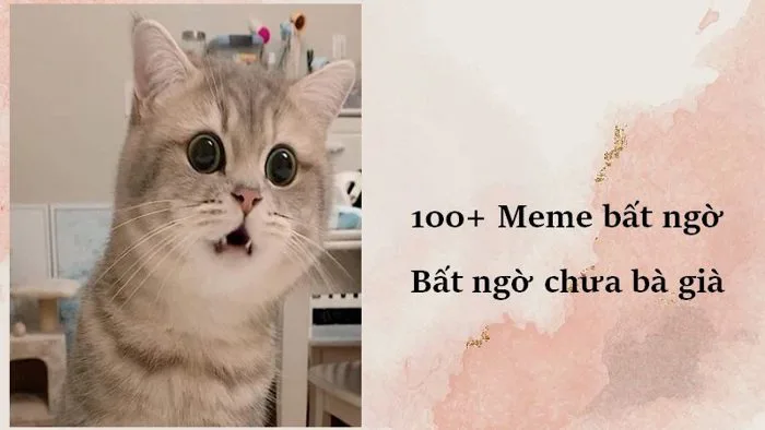 100+ Meme bất ngờ - Bất ngờ chưa bà già, Pikachu mất ngờ