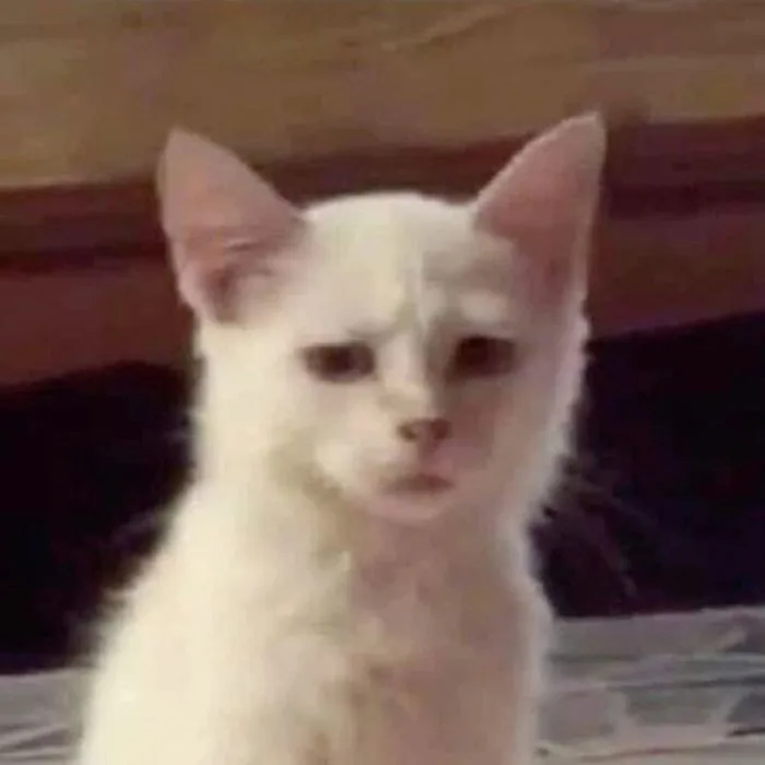 Bộ sưu tập 143 meme ngờ vực hài hước và đầy biểu cảm hình ảnh đẹp ấn tượng  - hinhanhdep3d.com