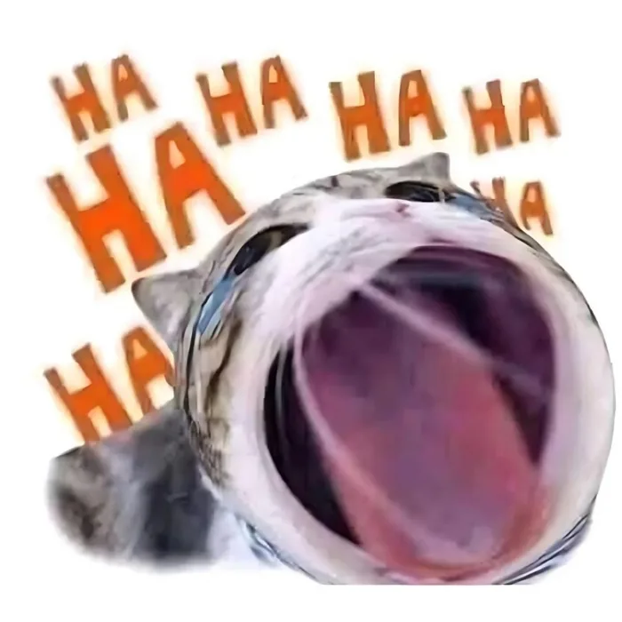 500+ meme mèo bựa, cute, khóc cười siêu vô tri hài hước cho các sen