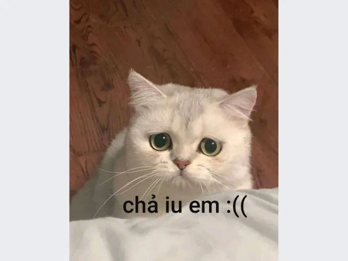 Tổng hợp 80+ meme buồn được sử dụng phổ biến trên mạng xã hội Tổng hợp 80+ meme buồn được sử dụng phổ biến trên mạng xã hội