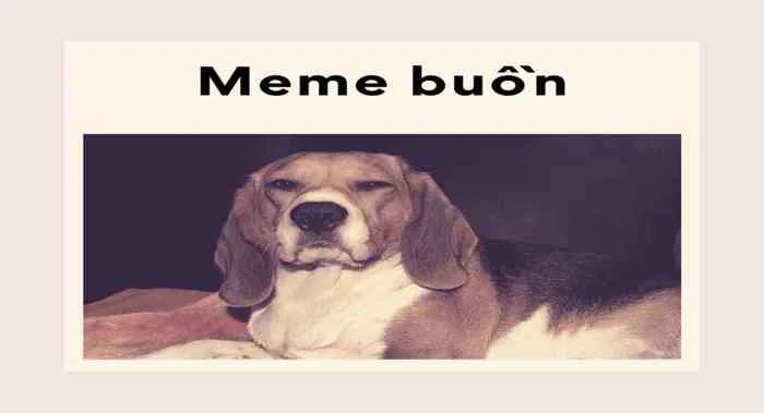 Tổng hợp các loại meme buồn làm mưa làm gió trên mạng xã hội Tổng hợp các loại meme buồn làm mưa làm gió trên mạng xã hội