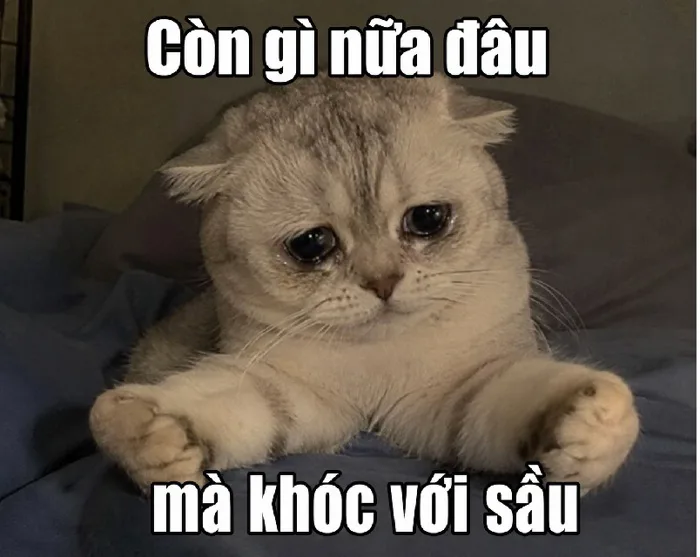 Meme Còn Gì Nữa Đâu Mà Khóc với sầu meme - Ảnh chế buồn bã siêu hài Meme Còn Gì Nữa Đâu Mà Khóc với sầu meme - Ảnh chế buồn bã siêu hài