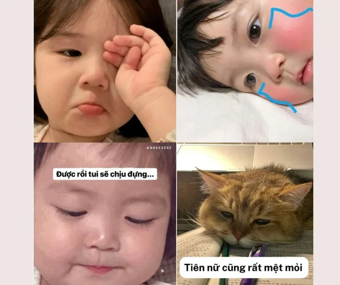 Tổng hợp các loại meme buồn làm mưa làm gió trên mạng xã hội Tổng hợp các loại meme buồn làm mưa làm gió trên mạng xã hội