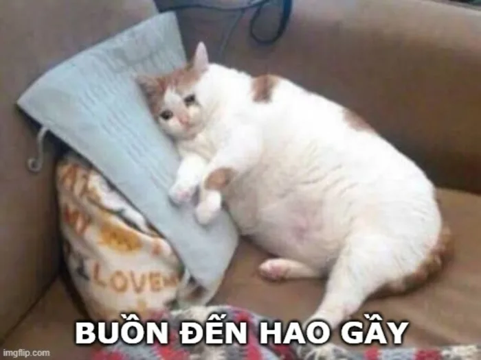 Tổng hợp 80+ meme buồn được sử dụng phổ biến trên mạng xã hội Tổng hợp 80+ meme buồn được sử dụng phổ biến trên mạng xã hội