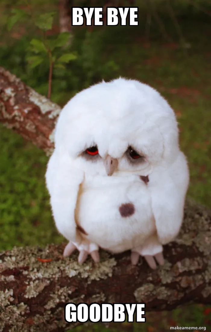 BYE BYE GOODBYE - Sad Owl Meme Generator