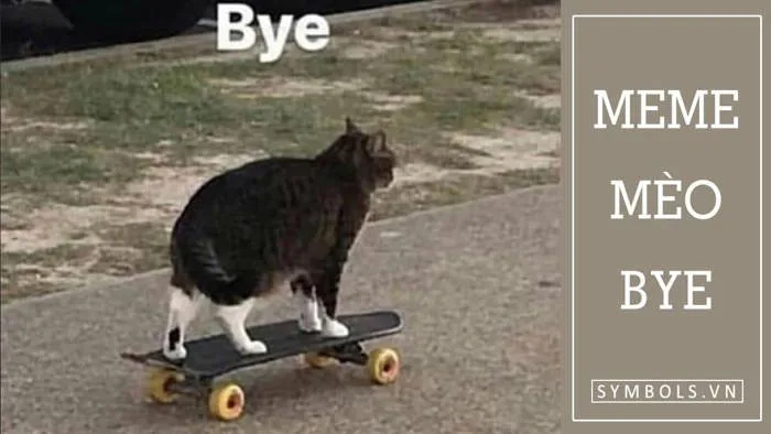 Meme Mèo Bye, Mèo Ho Meme Cute [Meme Mèo Chống Nạnh]