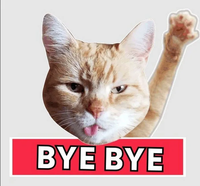 Meme Mèo Bye, Mèo Ho Meme Cute [Meme Mèo Chống Nạnh]