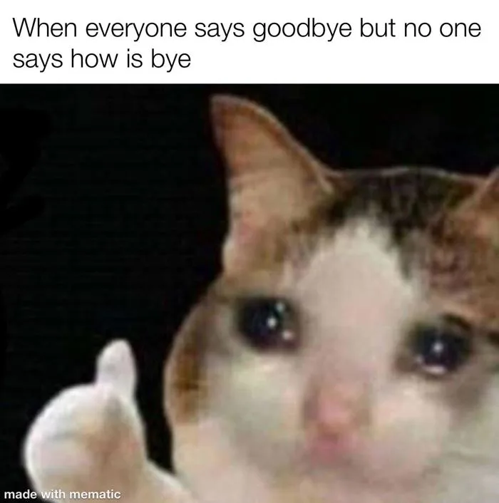 Chào tạm biệt thế nào? : r/memes
