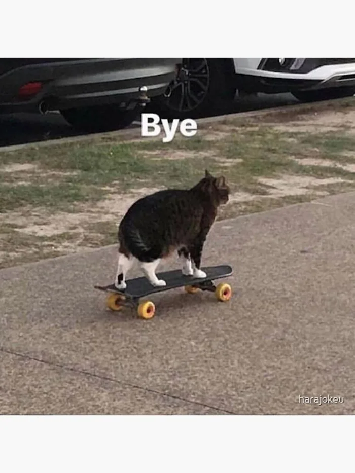 bye cat meme