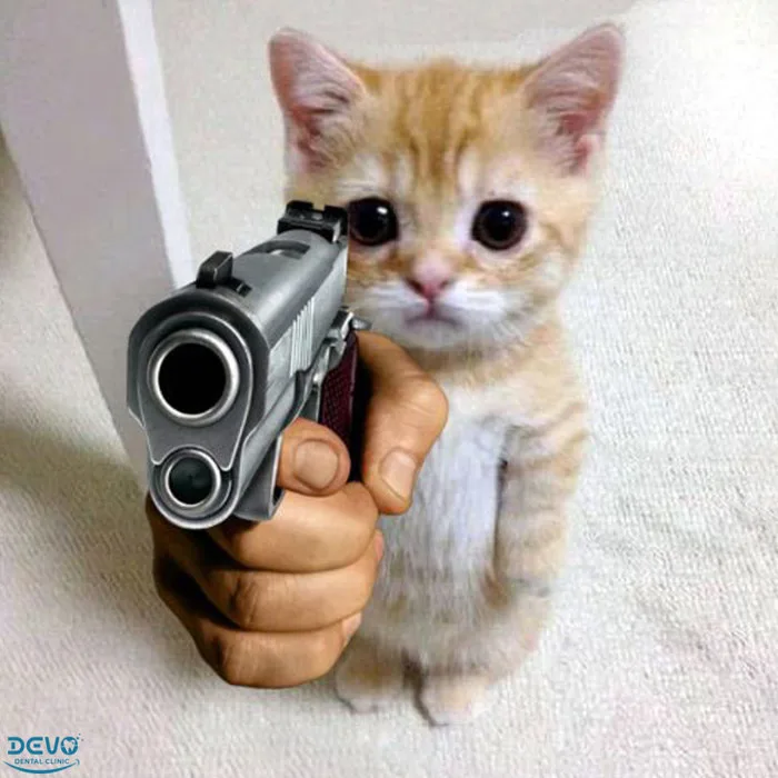 Khám phá trọn bộ 97 khoảnh khắc meme mèo cầm dao độc đáo nhất -  hinhanhdep3d.com
