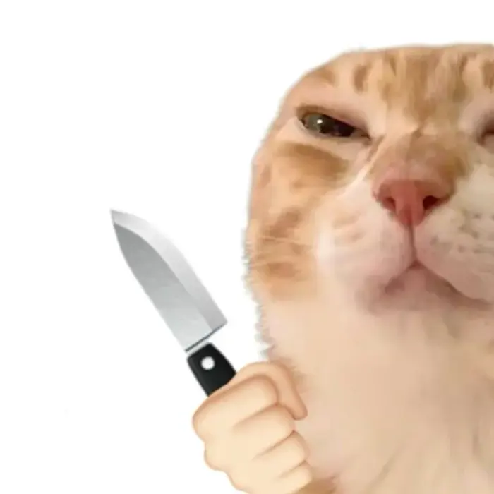 138+ Meme Mèo Cầm Dao, cầm phóng lợn bá đạo cười xỉu