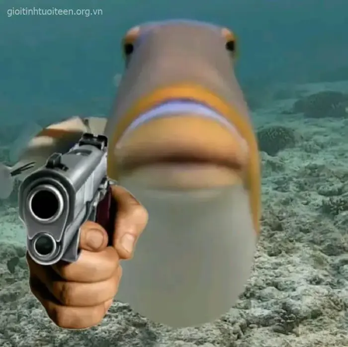 100+ Meme Cầm Súng, Chỉa Súng Vào Màn Hình đậm chất xã hội đen nhưng vẫn  hài hước