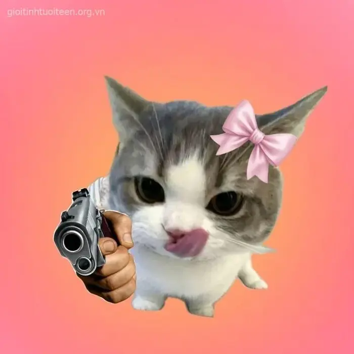Tổng hợp 69+ Meme Mèo Cầm Súng “Báo Thủ”, Ảnh Chế Mèo Chiến Thần