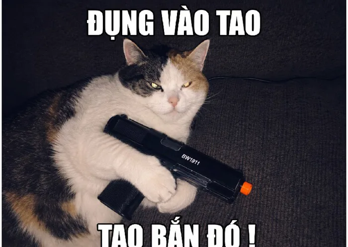 142+ Meme Mèo Cầm Súng AK súng FF ngầu lòi cười xỉu