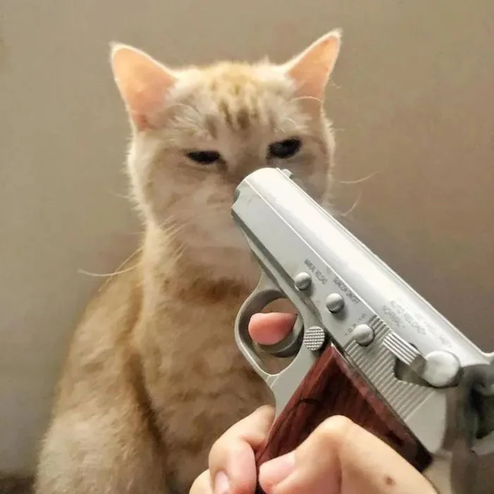 Tổng hợp meme dí súng cực hài hước dành cho nhà đầu tư