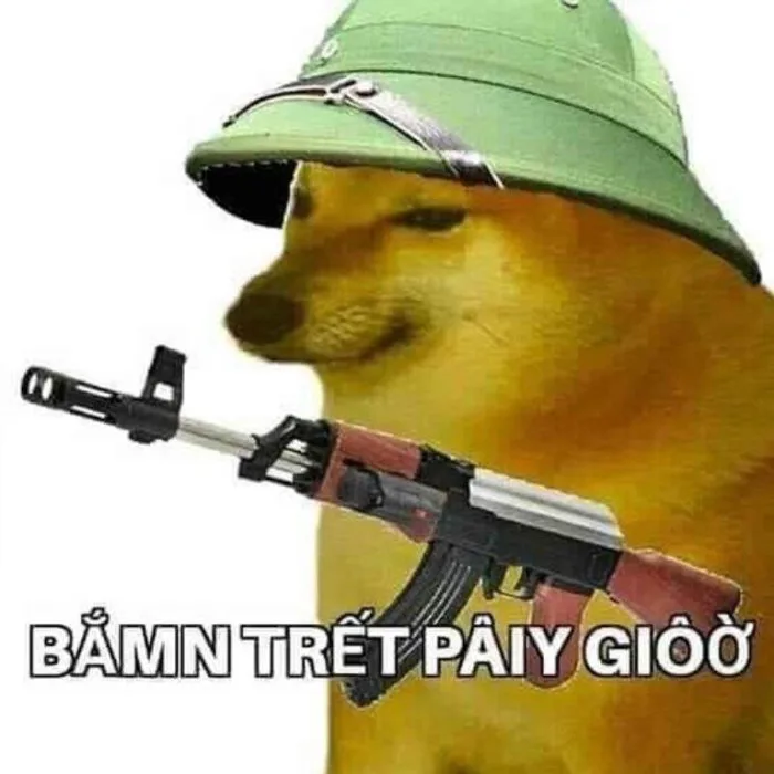 Tổng hợp 10+ meme chó shiba Cheems hài hước, tức giận, bựa, đáng yêu –  MISSKICK