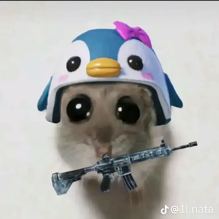 Tổng hợp 69+ Meme Mèo Cầm Súng “Báo Thủ”, Ảnh Chế Mèo Chiến Thần