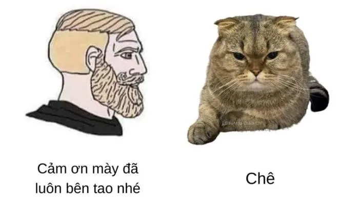 Meme chê: Tổng hợp +30 meme chê cực gắt