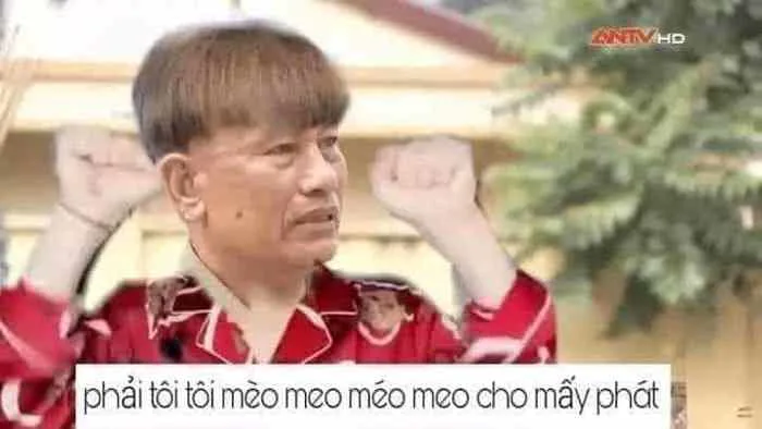 Ảnh chế Meme 