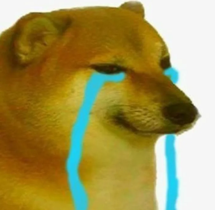 Trọn Bộ Sưu Tập 99+ Ảnh Chó Meme Vui Nhộn, Đáng Yêu 2026