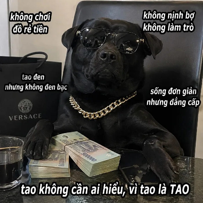 148+ Meme Chó Đen ngầu lòi bựa thôi rồi cười rụng răng