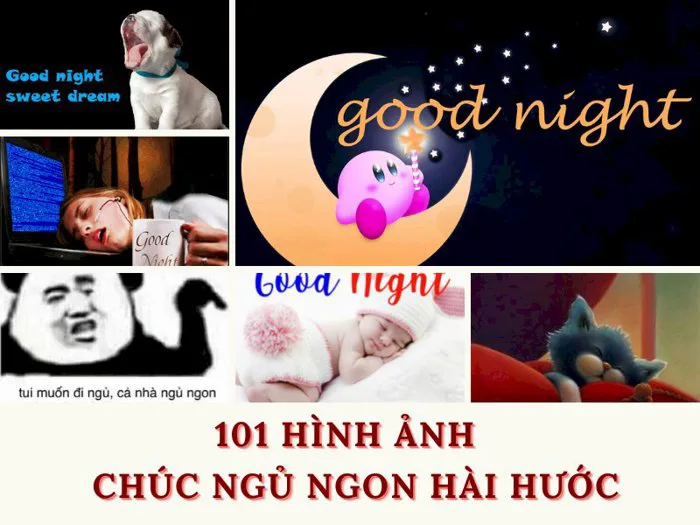 101 hình ảnh chúc ngủ ngon hài hước đẹp nhất, chất lượng cao, tải miễn phí 101 hình ảnh chúc ngủ ngon hài hước đẹp nhất, chất lượng cao, tải miễn phí