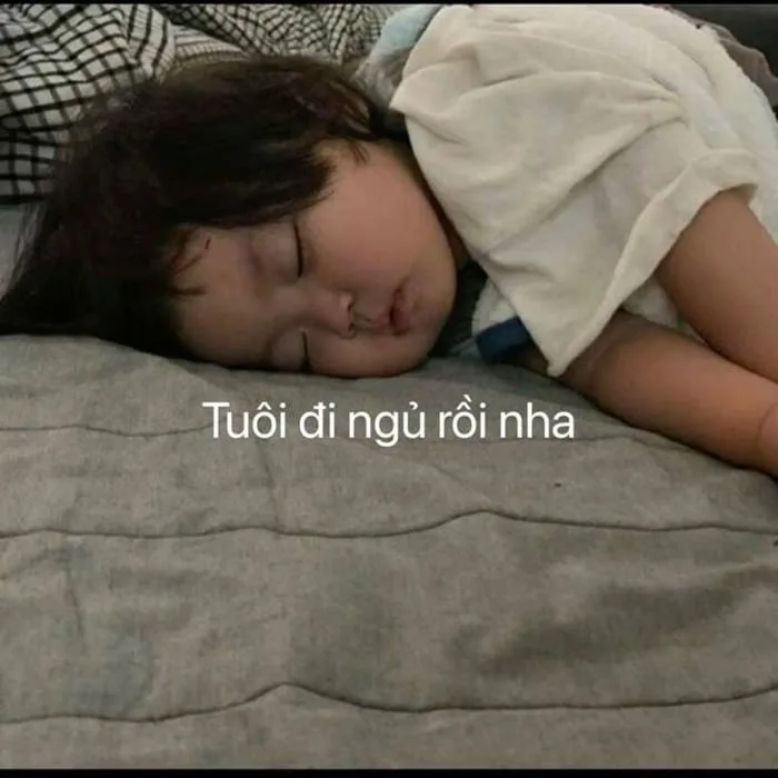 Tổng hợp những meme chúc ngủ ngon hài hước, siêu dễ thương Tổng hợp những meme chúc ngủ ngon hài hước, siêu dễ thương