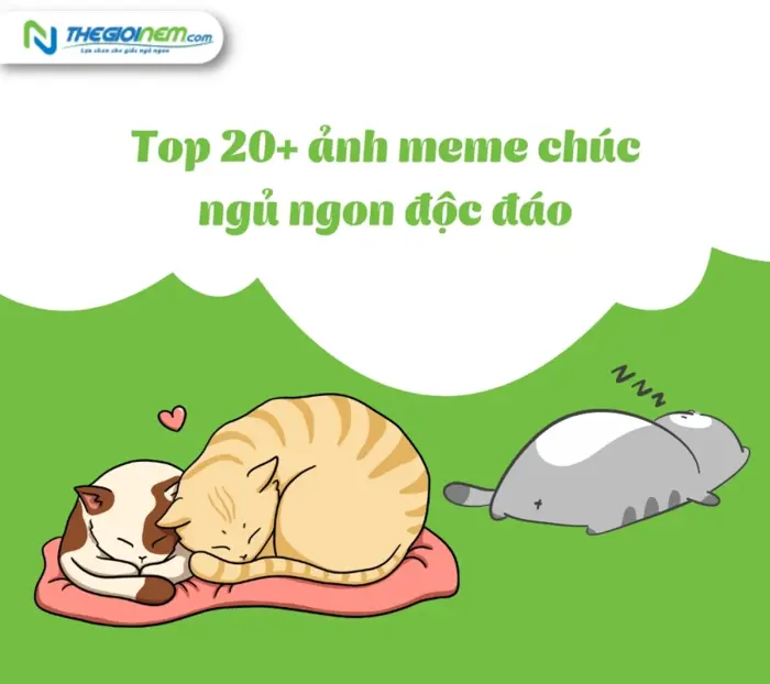 Top 20+ ảnh meme chúc ngủ ngon độc đáo Top 20+ ảnh meme chúc ngủ ngon độc đáo