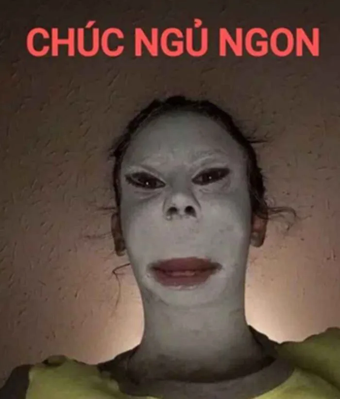 Trọn Bộ Sưu Tập Meme Chúc Ngủ Ngon Dễ Thương, Vui Nhộn 2026 Trọn Bộ Sưu Tập Meme Chúc Ngủ Ngon Dễ Thương, Vui Nhộn 2026