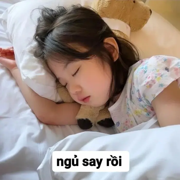 Gửi lời chúc ngủ ngon theo cách hài hước với meme dễ thương Gửi lời chúc ngủ ngon theo cách hài hước với meme dễ thương