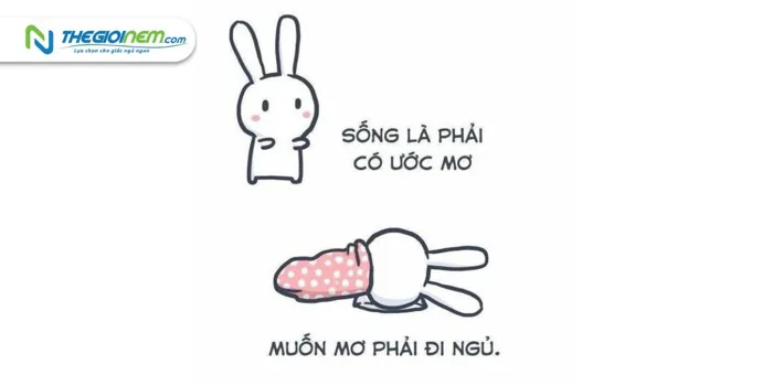Top 20+ ảnh meme chúc ngủ ngon độc đáo Top 20+ ảnh meme chúc ngủ ngon độc đáo