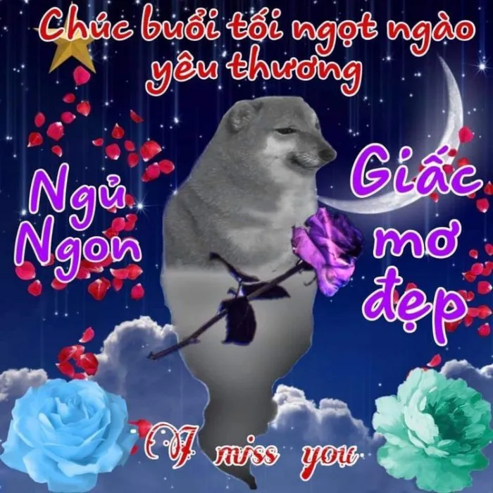 Trọn bộ 137+ meme chúc ngủ ngon cực hài hước và dễ thương - avatarcute.edu.vn Trọn bộ 137+ meme chúc ngủ ngon cực hài hước và dễ thương - avatarcute.edu.vn