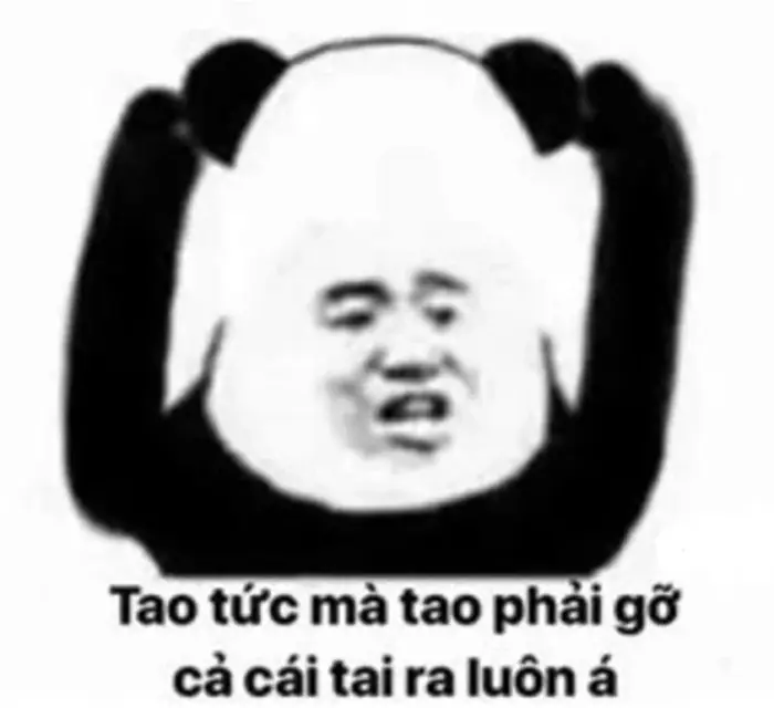 Khám phá bộ sưu tập ảnh meme chửi bá đạo đang gây bão mạng Khám phá bộ sưu tập ảnh meme chửi bá đạo đang gây bão mạng