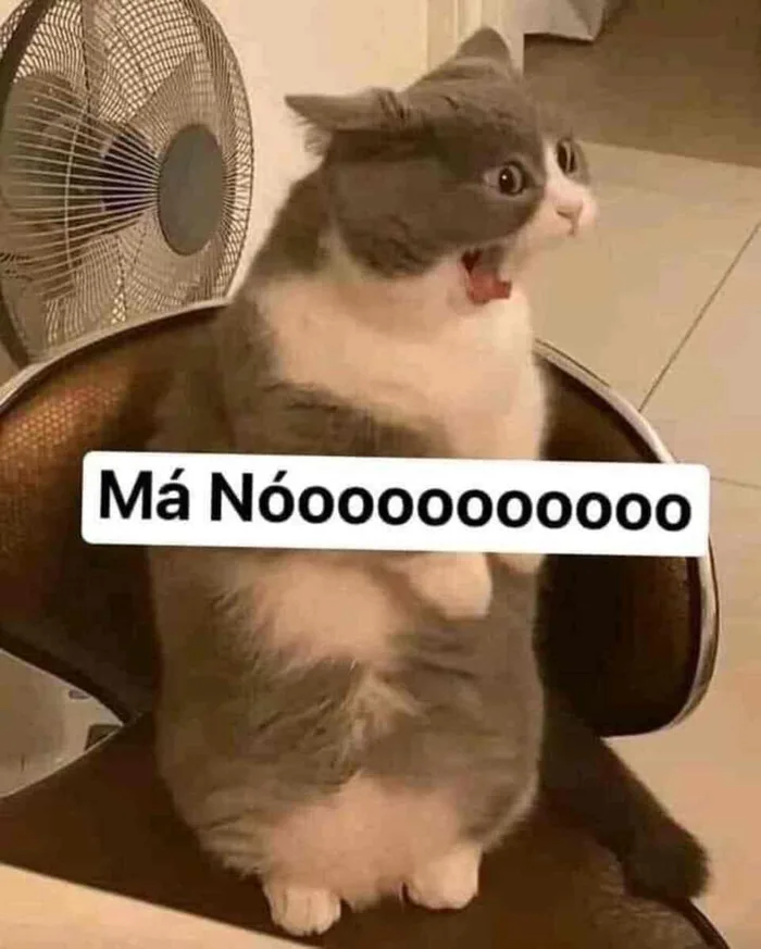 Bộ sưu tập meme chửi gây cười nhất mọi thời đại mà bạn không nên bỏ qua Bộ sưu tập meme chửi gây cười nhất mọi thời đại mà bạn không nên bỏ qua