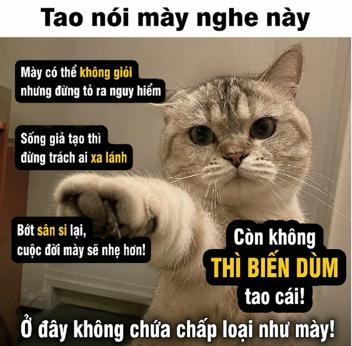 199+ Meme Chửi siêu thâm ảnh chế chửi nhau cười ra nước mắt 199+ Meme Chửi siêu thâm ảnh chế chửi nhau cười ra nước mắt