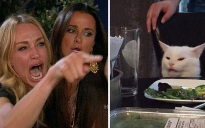Chú mèo trắng Smudge đã sản sinh ra chiếc meme đình đám 'cô gái la con mèo'  như thế nào