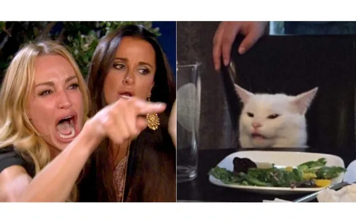 Bà chị gào khóc với con mèo tỉnh bơ - meme được sử dụng nhiều nhất 2019 là  từ đâu ra?