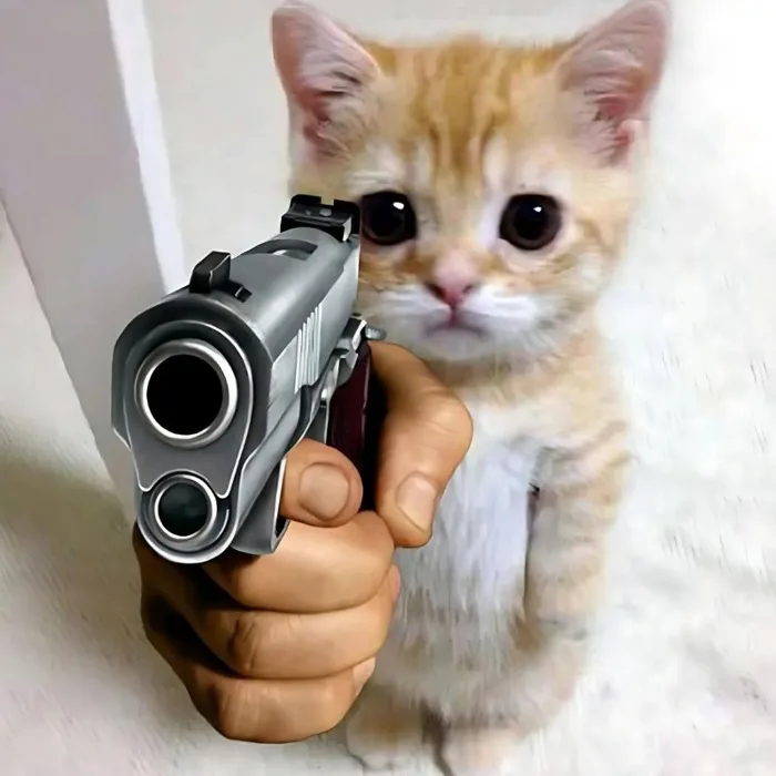 99+ meme mèo cười đểu, haha, nhếch mép, chỉ tay nham hiểm - JBAGY