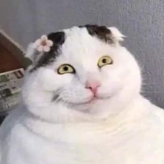 Tổng hợp những meme cười đểu hài hước nhất, mang đến tiếng cười sảng khoái