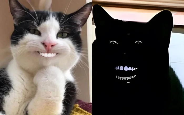 100+ ảnh meme mèo cười đểu, cười mỉm cute hài hước nhất 2024