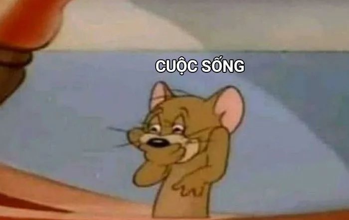 Tổng hợp những meme cười đểu hài hước nhất, mang đến tiếng cười sảng khoái