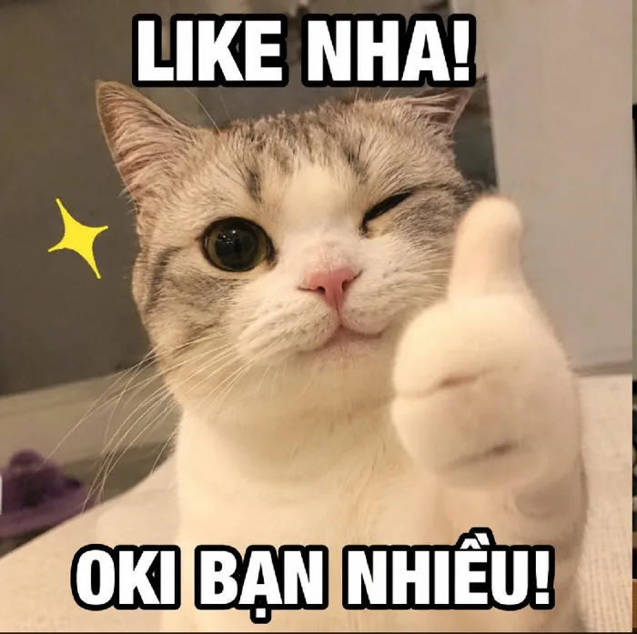 140+ Meme Mèo Like cute đáng yêu nhìn là mê tít luôn