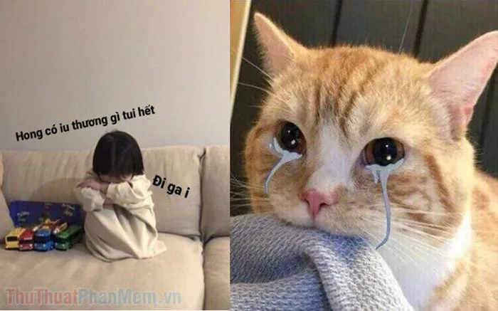 Tổng hợp meme dỗi hài hước, cute, đáng yêu