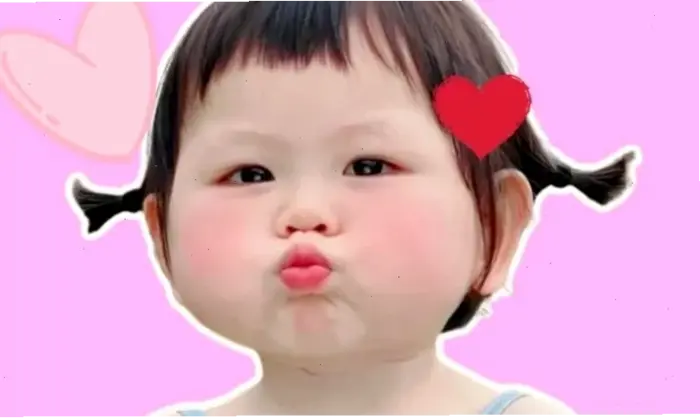 Tuyển Tập Hình Nền Meme Cute Hài Hước Nhất Năm 2026