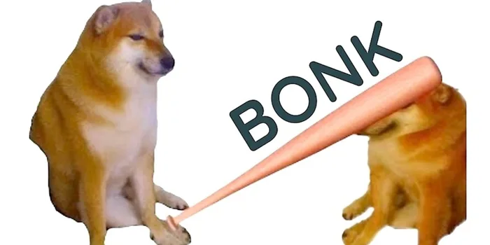Bộ sưu tập meme đánh nhau, meme mèo đánh nhau hài hước, vui nhộn Bộ sưu tập meme đánh nhau, meme mèo đánh nhau hài hước, vui nhộn